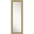 19" x 53" Non-Beveled Astor Champagne Full Length on The Door Mirror - Amanti Art: Includes Mounting Hardware, Polystyrene Frame