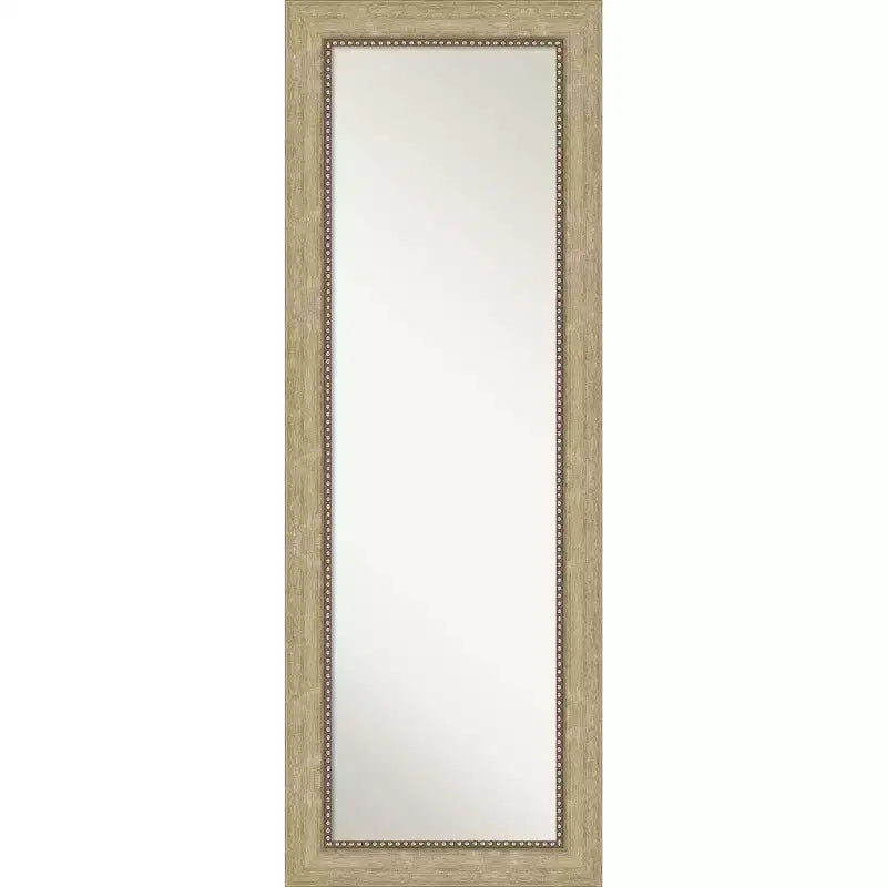19" x 53" Non-Beveled Astor Champagne Full Length on The Door Mirror - Amanti Art: Includes Mounting Hardware, Polystyrene Frame