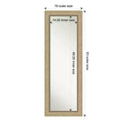 Miroir de porte plein pied Astor Champagne non biseauté de 19" x 53" - Amanti Art : Quincaillerie de montage incluse, cadre en polystyrène