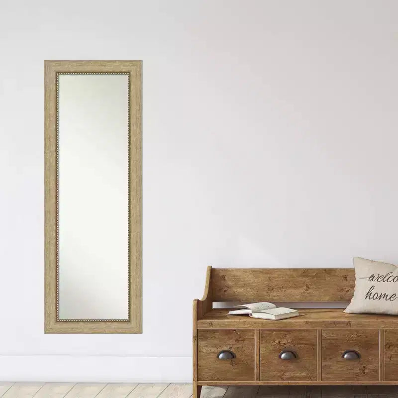 Miroir de porte plein pied Astor Champagne non biseauté de 19" x 53" - Amanti Art : Quincaillerie de montage incluse, cadre en polystyrène