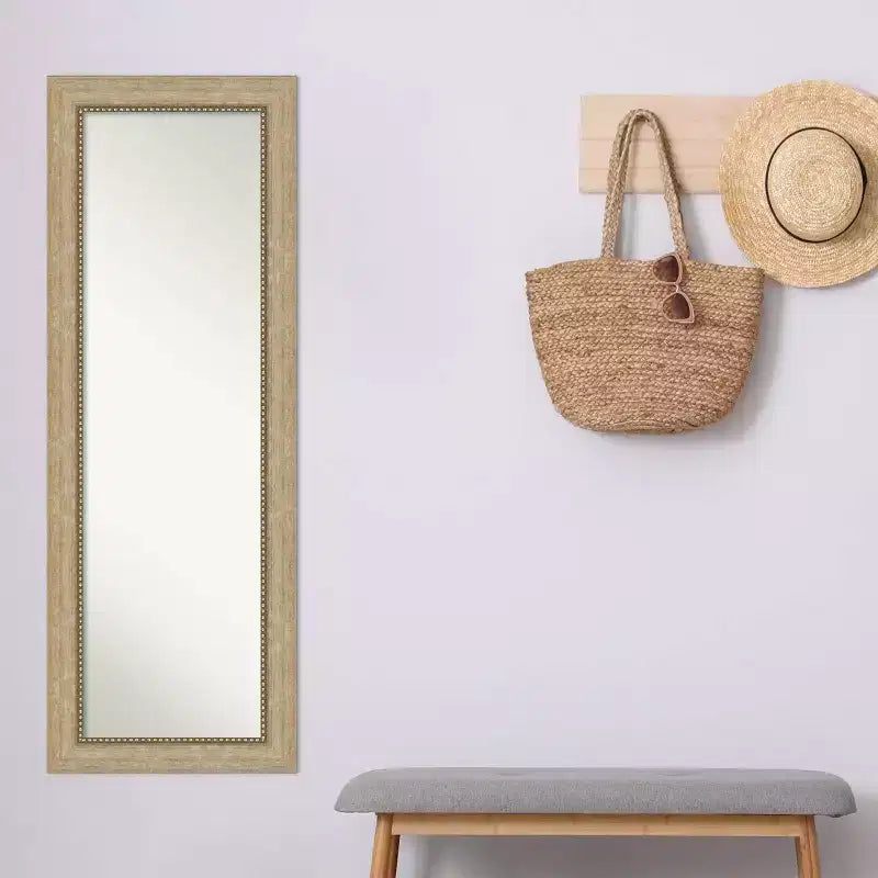 Miroir de porte plein pied Astor Champagne non biseauté de 19" x 53" - Amanti Art : Quincaillerie de montage incluse, cadre en polystyrène
