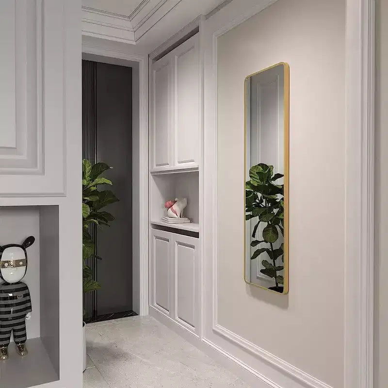 Whisen Miroir de porte mince 47x14 pouces, verre HD avec cadre en aluminium antirouille