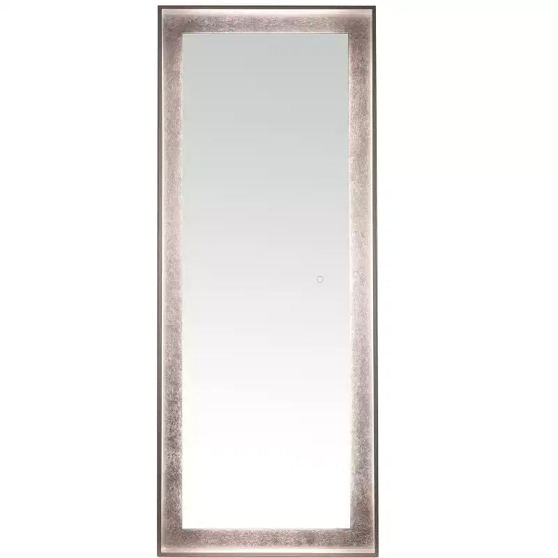 Miroir LED Montauk 22X65 - LMR1015 - Safavieh