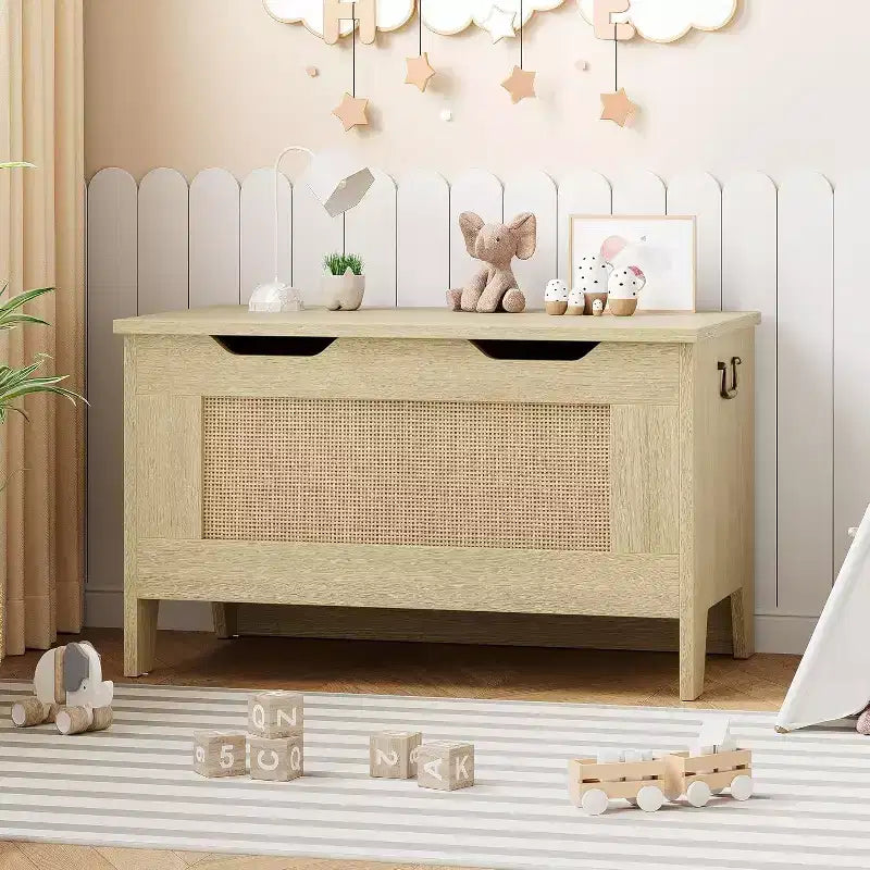 Banc de rangement décoratif Acekool, coffre d'entrée double usage avec charnière de sécurité