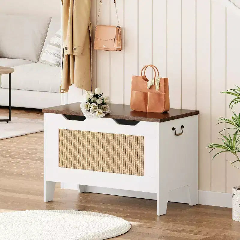 Banc de rangement décoratif Acekool, coffre d'entrée double usage avec charnière de sécurité