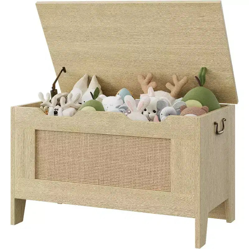 Banc de rangement décoratif Acekool, coffre d'entrée double usage avec charnière de sécurité