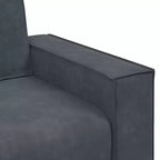 vidaXL Ensemble de 2 Canapés avec Coussins Velours Noir