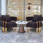 Zeus & Ruta Modern Accent Chairs Set of 2 with Teddy Fleece Upholstered & Gold Metal Legs