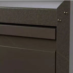 AOBABO Armoire de rangement à dossiers en acier verrouillable avec étagères réglables et roulettes pour l'organisation à la maison, à l'école, au bureau et dans le garage, Noir