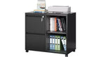 DEXYLLO Metal Lateral File Cabinet with Lock, 2-Drawer Rolling Printer Stand with Shelf, Mobile Storage Cabinet for Home Office