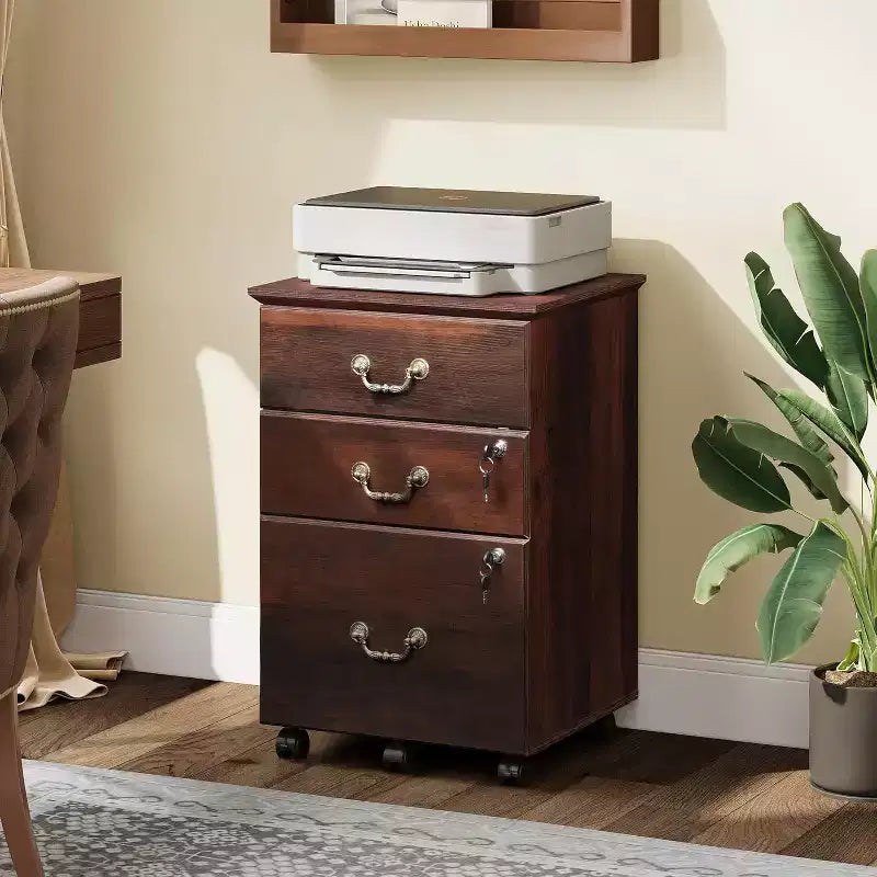 Classeur DEXYLLO 2 tiroirs, petit meuble de bureau avec serrure, meuble de classement roulant sous le bureau pour bureau à domicile