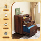 Classeur DEXYLLO 2 tiroirs, petit meuble de bureau avec serrure, meuble de classement roulant sous le bureau pour bureau à domicile