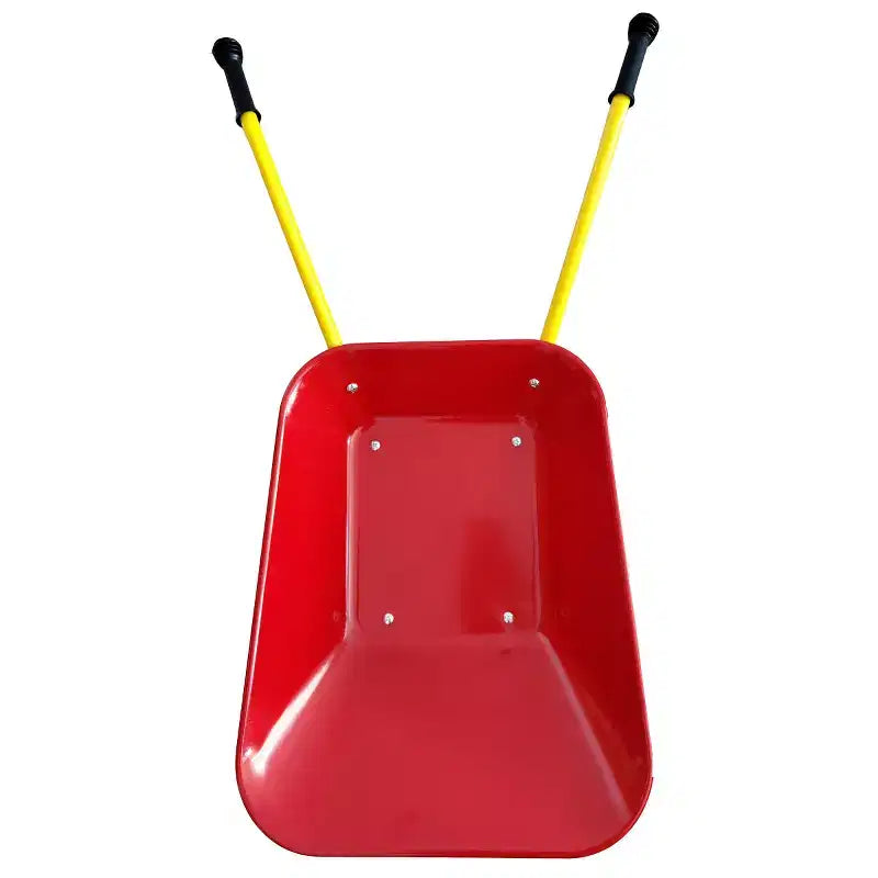 AEELLEEA Brouette en métal pour enfants, Chariot de jardin de 33 lb pour enfants, Chariot utilitaire de jardin avec plateau en acier robuste pour feuilles, terre, sable, outil de jardinage extérieur