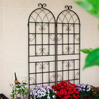 MAYEERTY Lot de 2 treillis de jardin en métal noir antirouille de 220 x 50 cm pour plantes grimpantes