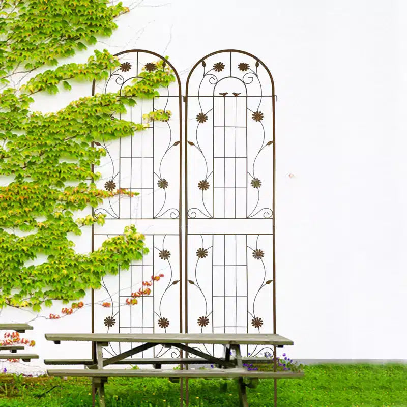 MAYEERTY Lot de 2 treillis de jardin en métal noir antirouille de 220 x 50 cm pour plantes grimpantes