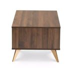 Table basse moderne du milieu du siècle Edel Noyer/Brun/Doré - Baxton Studio